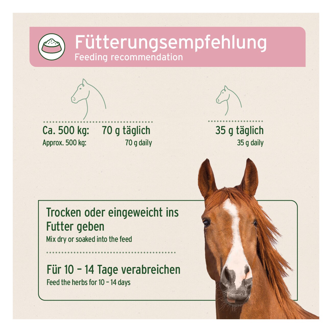 AniForte Bronchial Kräuter 1 kg