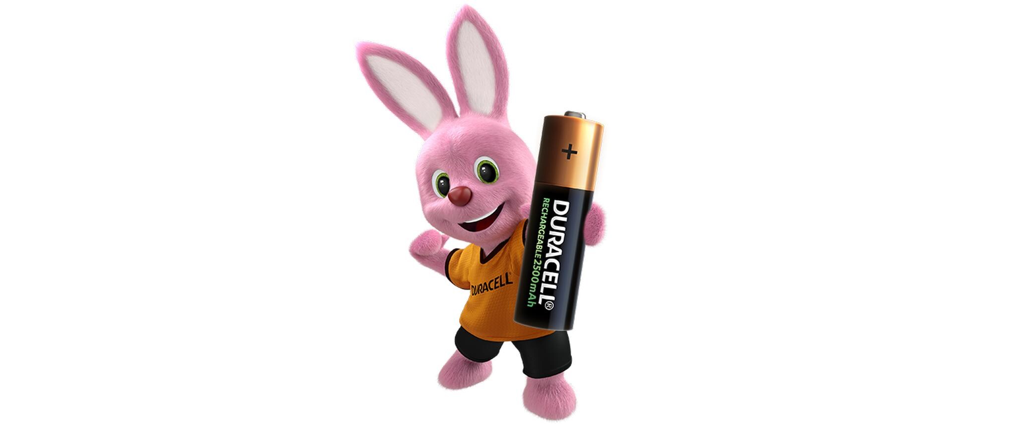 Akku Rechargeable NiMH AA 2500 mAh, 4 StückTyp AA, 4 Stück
