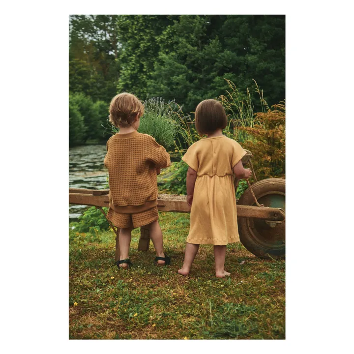 Poudre Organic Robe Dahlia Côtelée | Miel