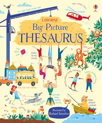 Big Picture Thesaurus (Hardback)