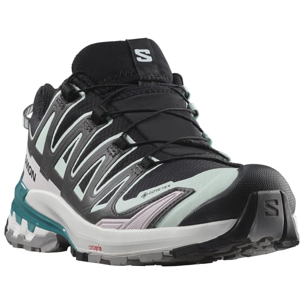 Chaussure trail SALOMON XA PRO 3D V9 GORE-TEX W
