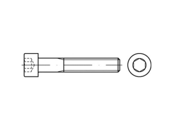 TOOLCRAFT TO-5442030 Cylinderskruer 38 mm 32 mm Indvendig sekskant 83912 Stål A5 100 stk