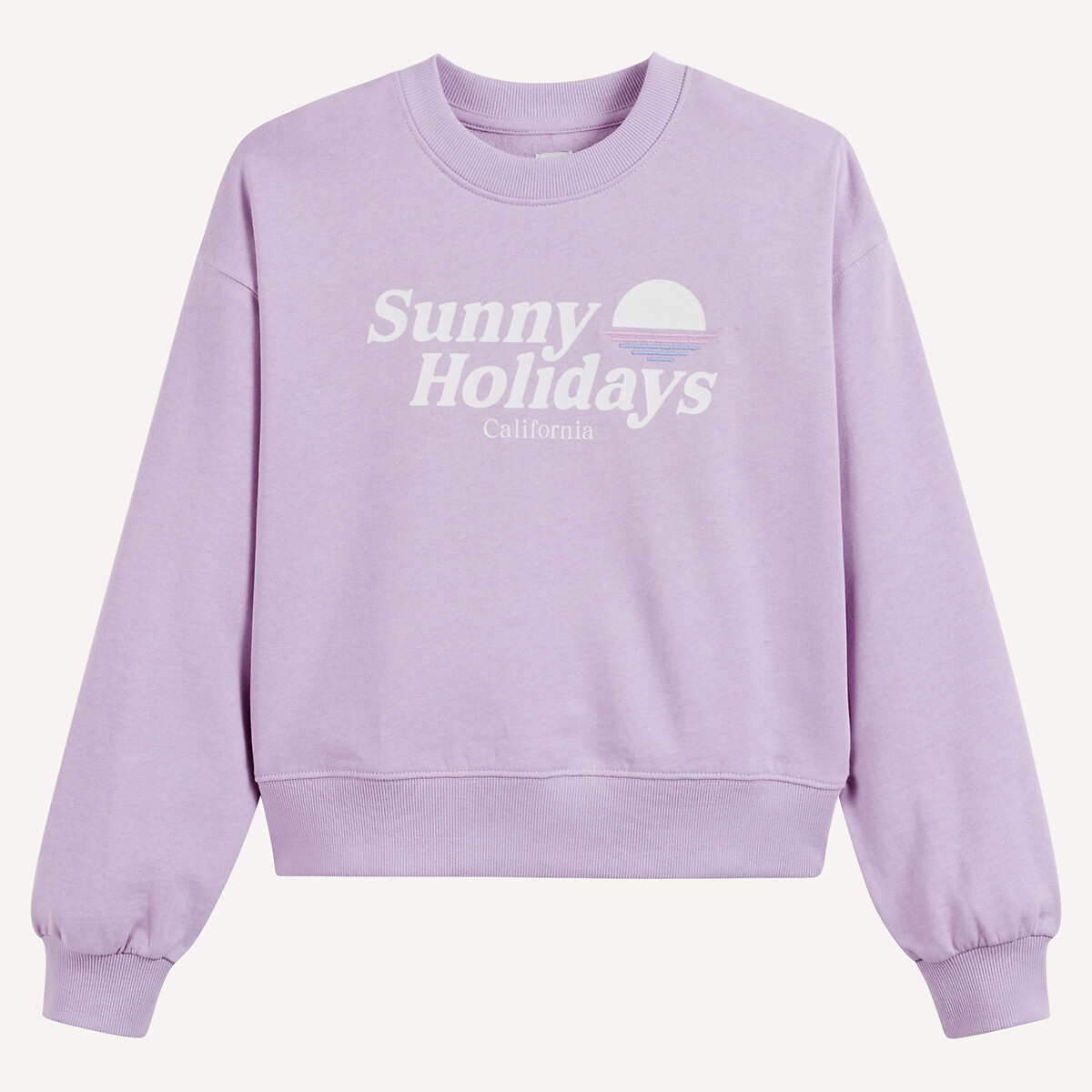 COLEÇÕES LA REDOUTE<br>Suéter Flemton com gola redonda