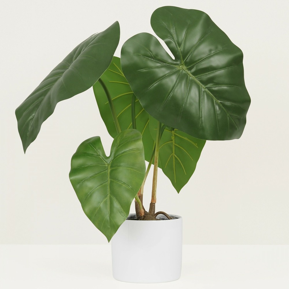 Plante taro artificiel en pot céramique 55cm