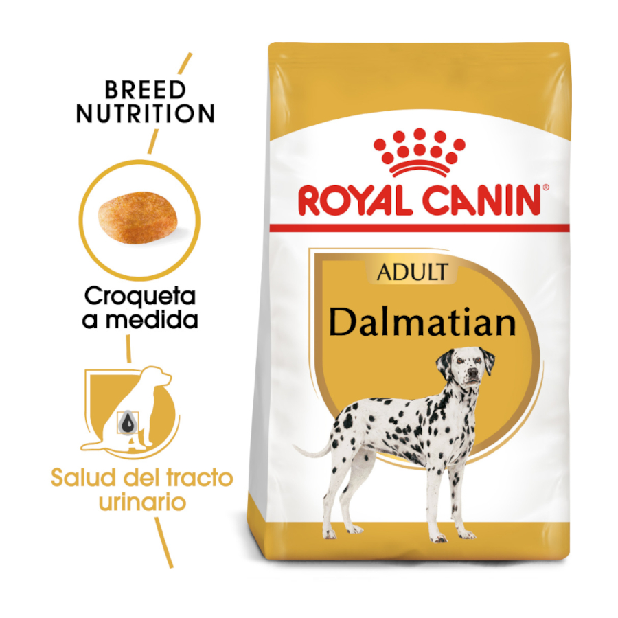 Ração Royal Canin para cães adultos da raça Dálmata