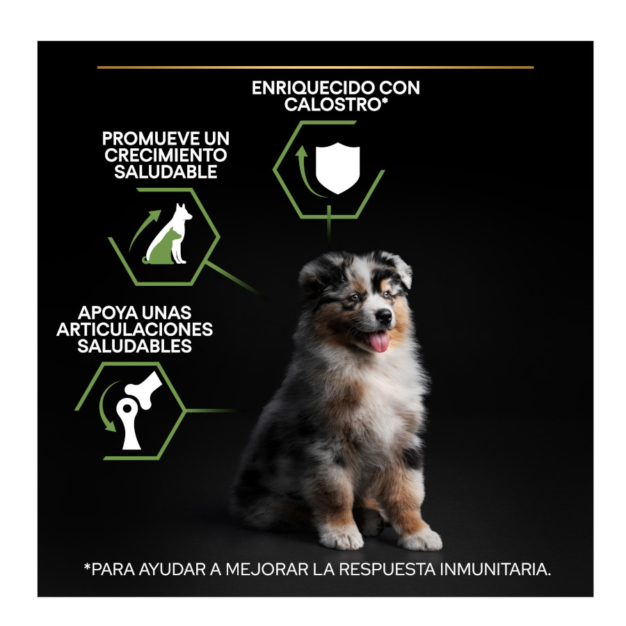 Ração Pro Plan para Filhotes de Porte Médio com Frango