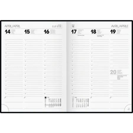 BRUNNEN Buchkalender Mod. 796 '25 | A5, Karton, braun