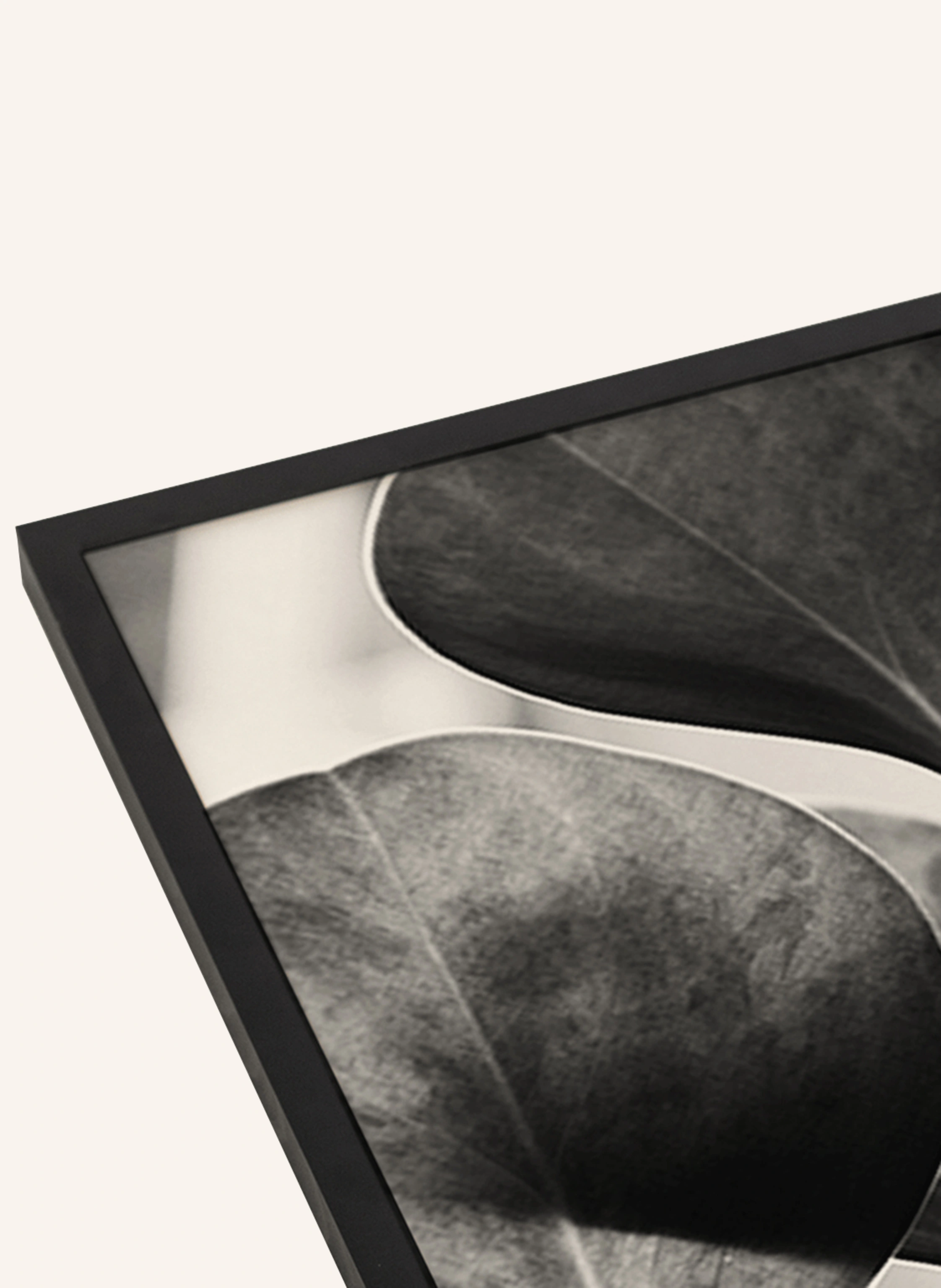 Liv Corday Wandbild SCHWARZE PFLANZE mit Rahmen