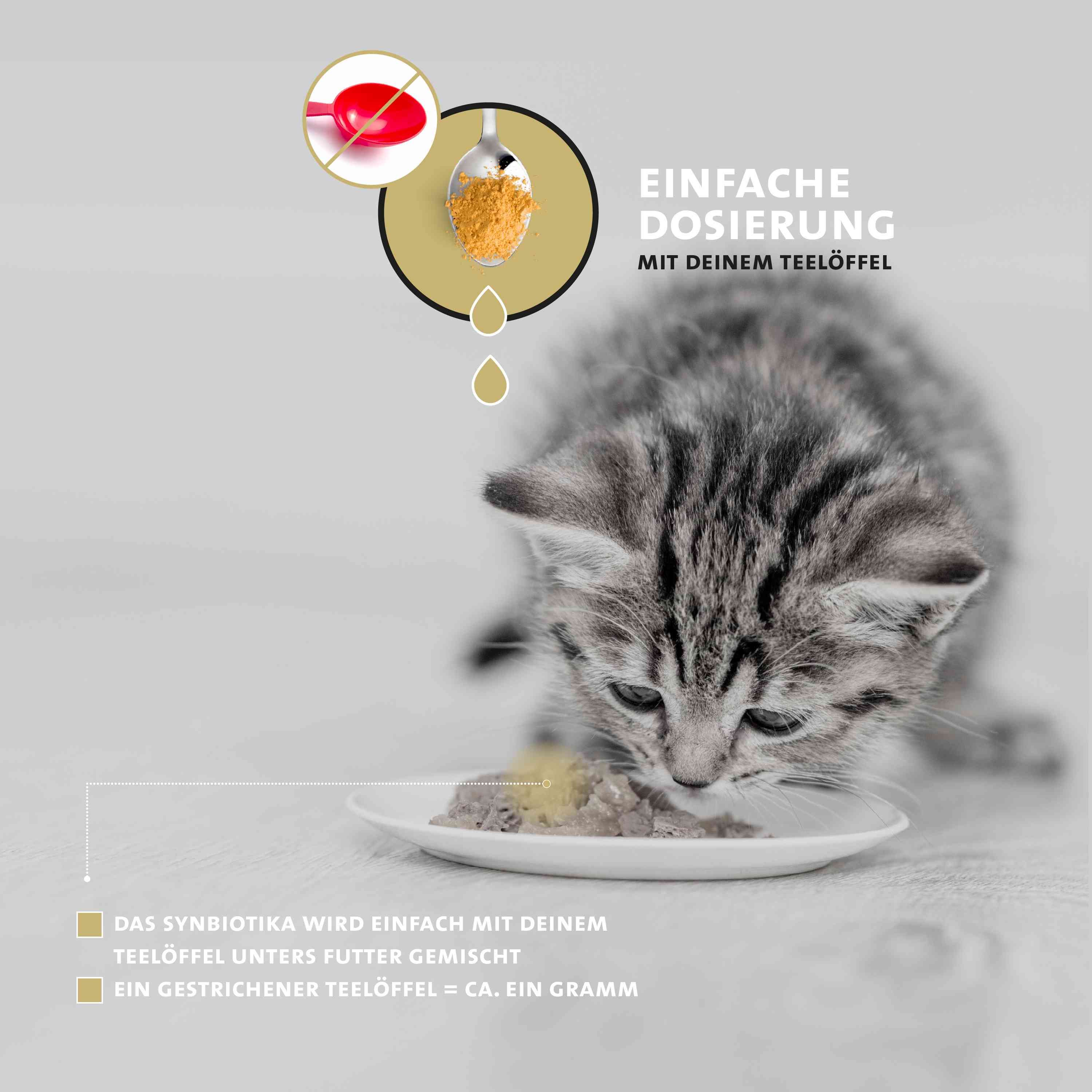 Peticare Probiotika & Präbiotika Pulver für Katzen, Darm-Sanierung, Darmflora