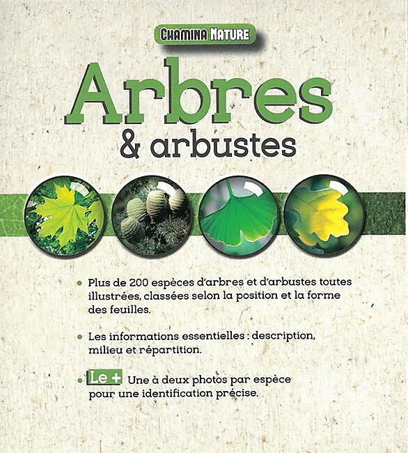 CHAMINA - ARBRES ET ARBUSTES