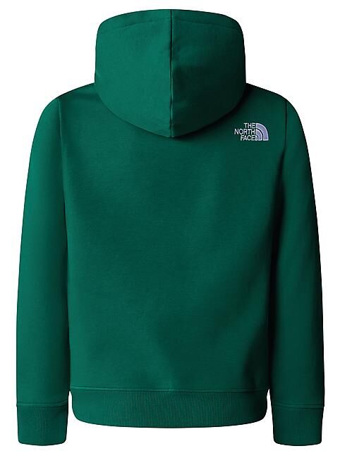 THE NORTH FACE - SWEAT A CAPUCHE B DREW PEAK P/O HOODIE