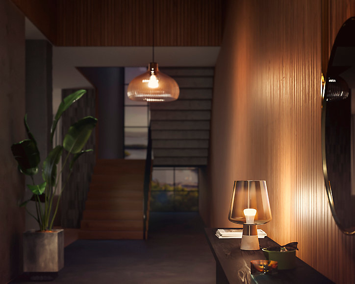 2 ampoules LED connectée Philios Hue A60 IP20 E27 1055lm 9.5W blanc chaud