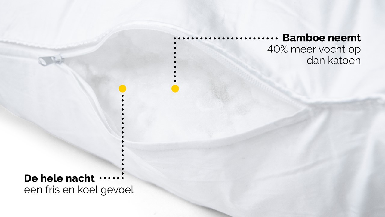 Hoofdkussen B Bright Bamboe