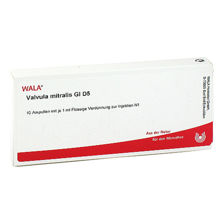 Valvula Mitralis GL D 5 Ampullen, 10X1 ml