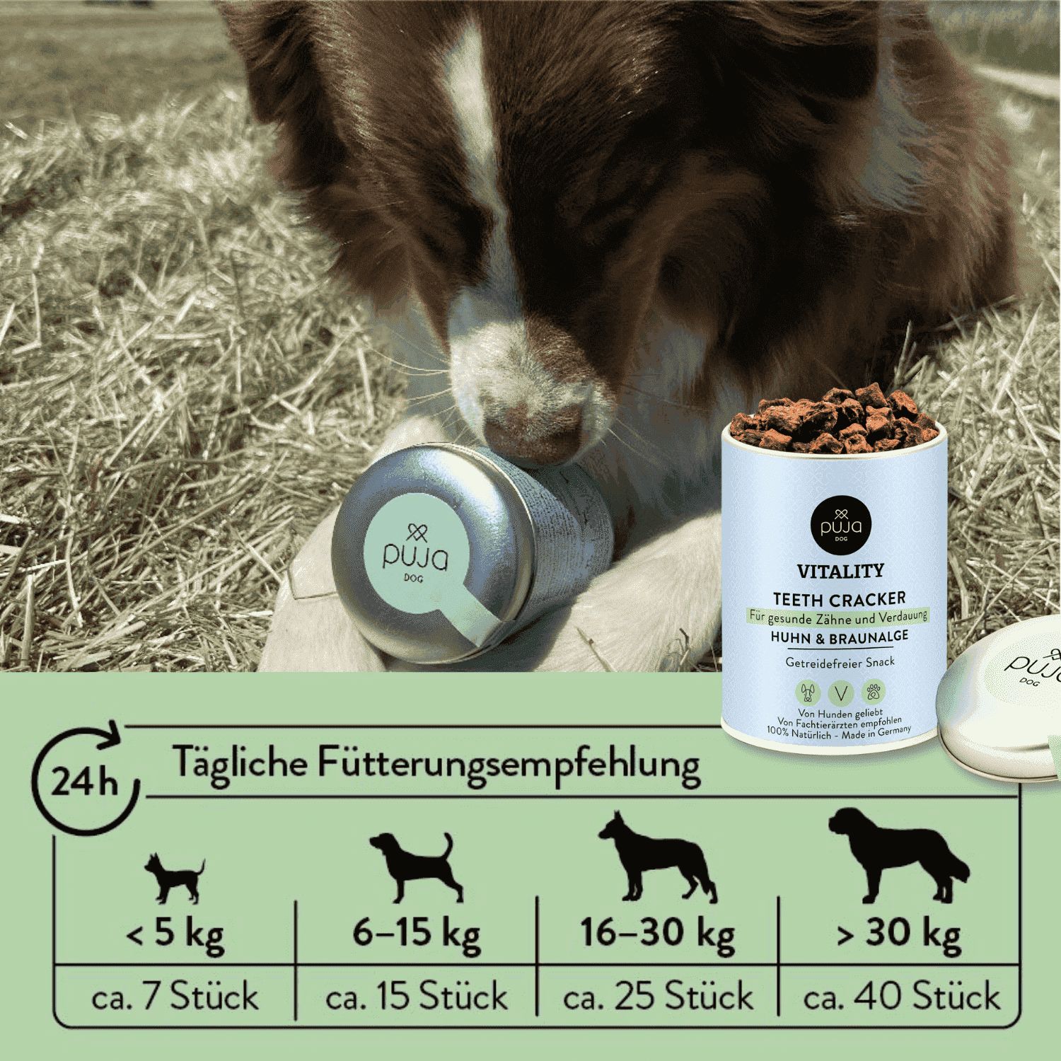 PUJA Beauty–Set für Hunde