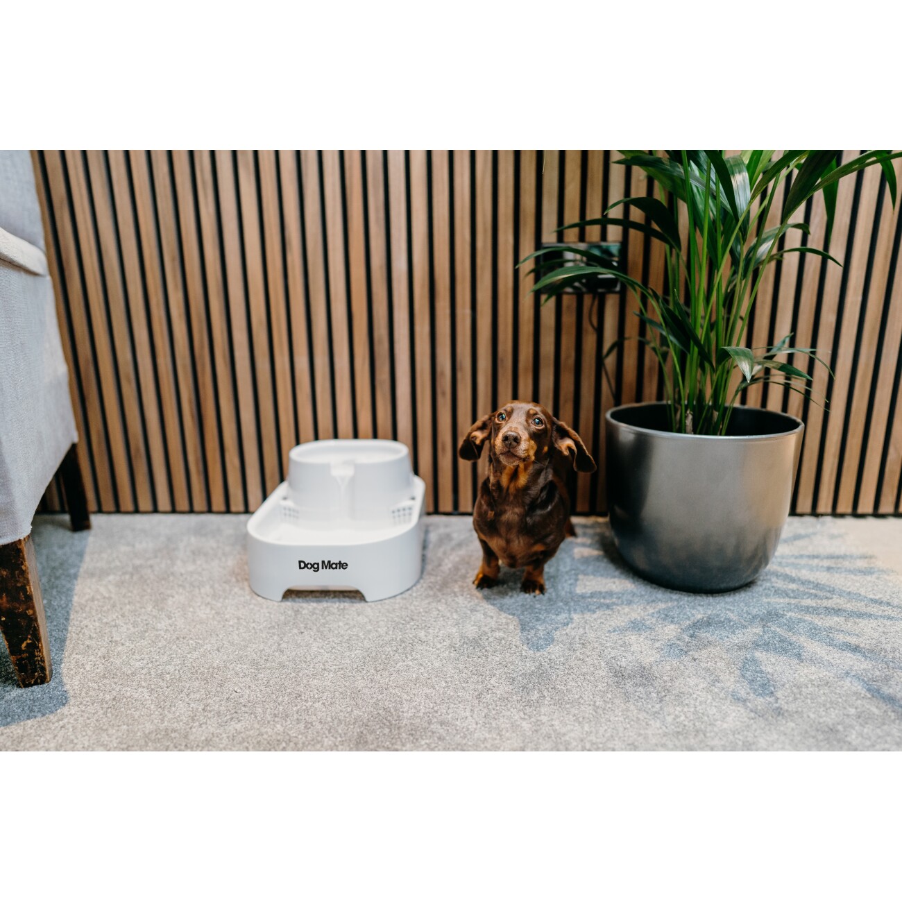 Dog Mate Großer zweistufiger Trinkbrunnen für Haustiere, sechs Liter, Weiß (385E)