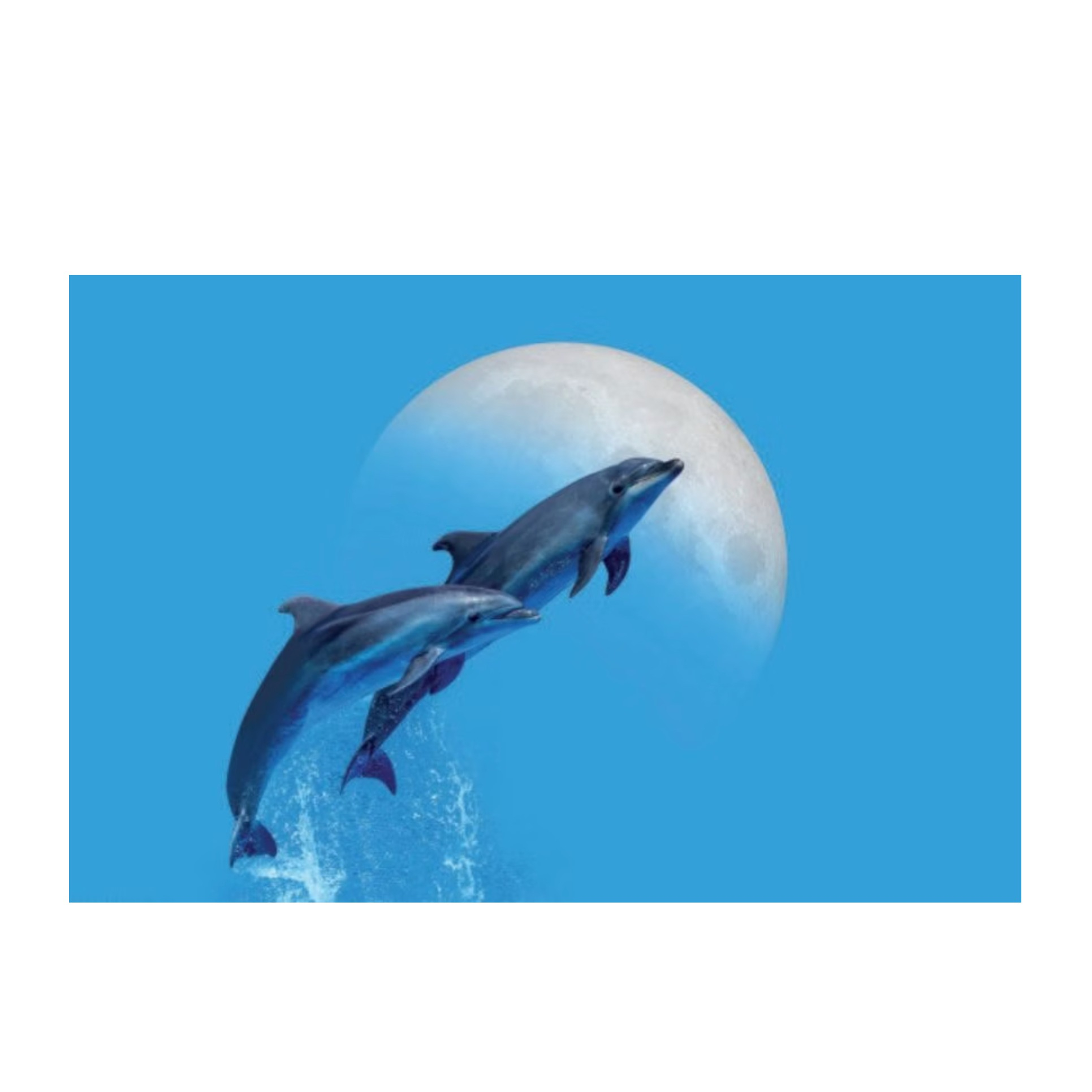 (60x40cm) Motiv Schreibunterlage Schreibtisch Schutz Bürotisch Matte (43065.000000) - Dolphins