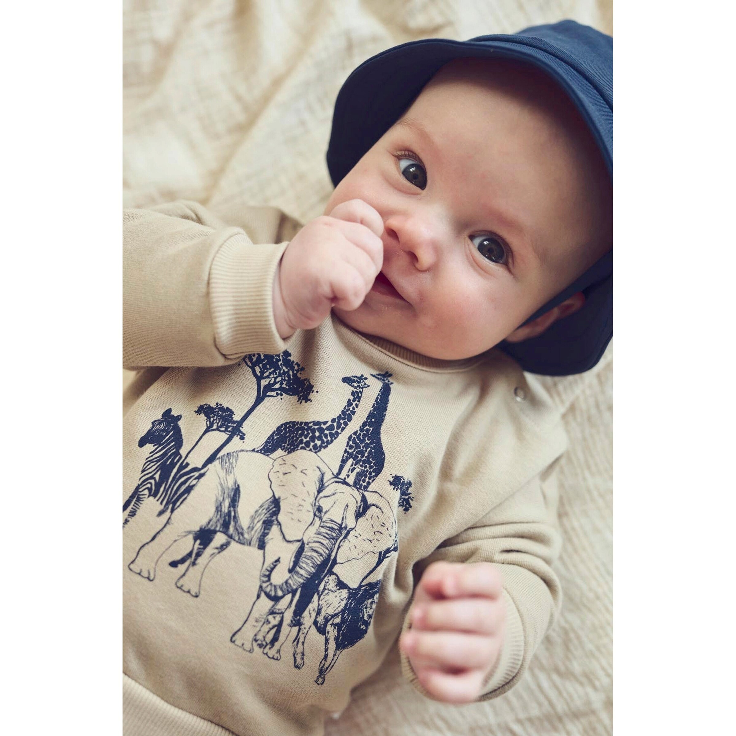 Müsli Sweatshirt Safari beige