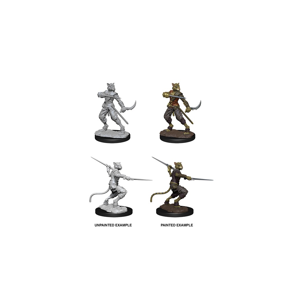 D&D Nolzur's Marvelous Unpainted Miniatures: Male Tabaxi Rogue