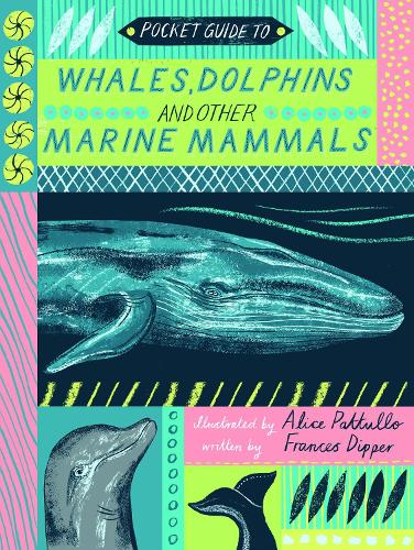 Pocket Guide to Whales, Dolphins and other Marine Mammals (Hardback)