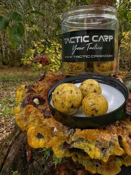 Bouillettes dures boostées Tactic Carp 20/25mm