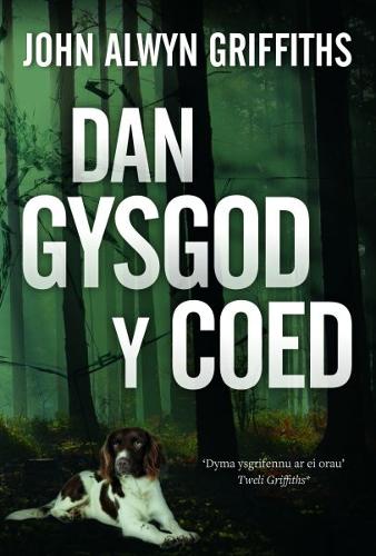 Dan Gysgod y Coed (Paperback)