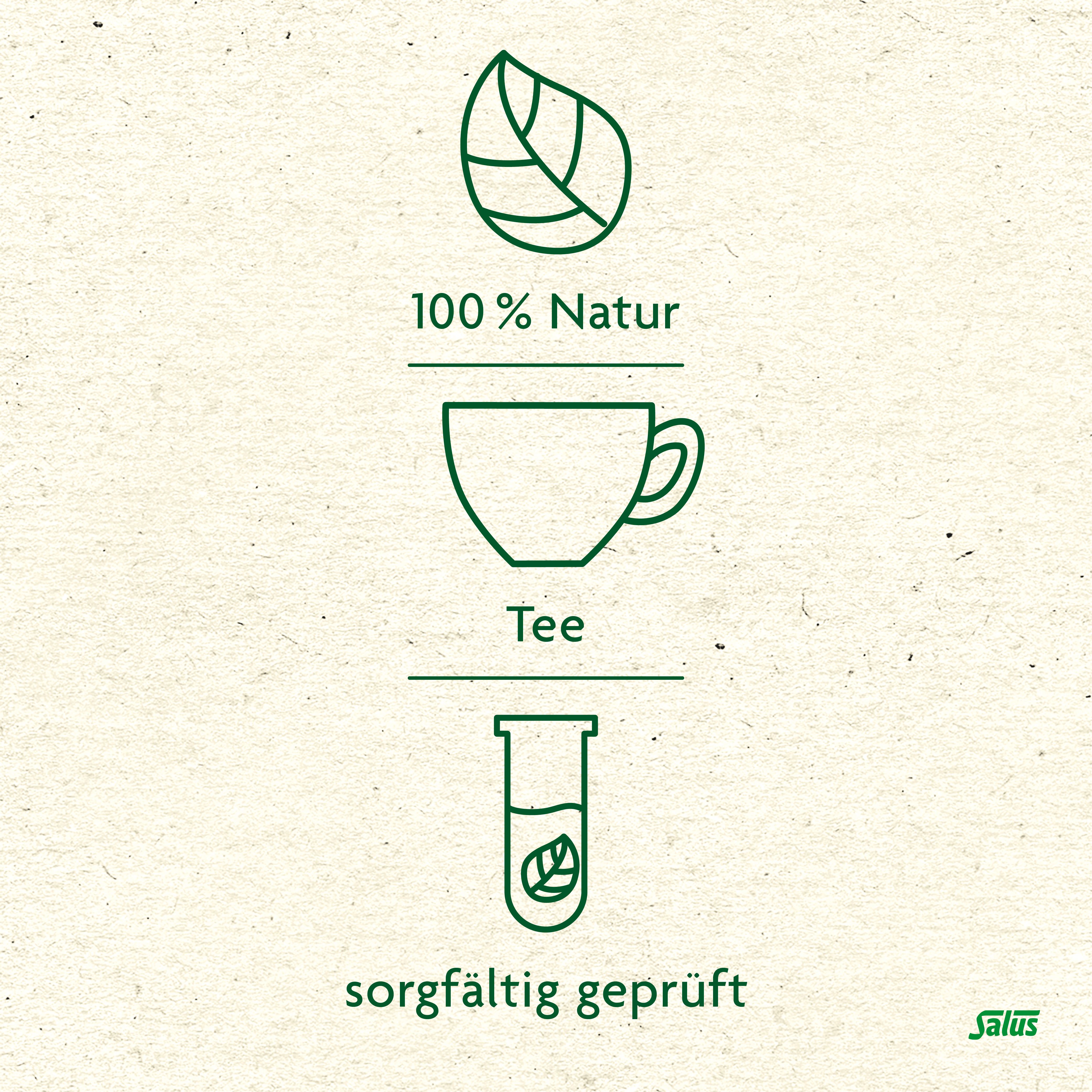Salus® Arzneitee Birkenblätter Betulae folium