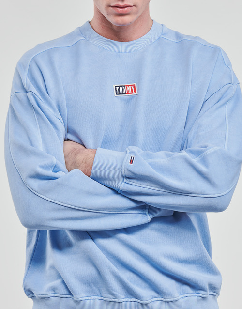 Tommy Jeans - TJM SKATER TIMELESS TOMMY CREW - Bleu ciel