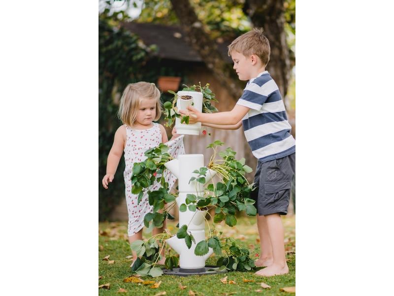 Gusta Garden Aufzuchttöpfe SISSI STRAWBERRY Starterset, Wei Urban Gardening Erdbeerbaum