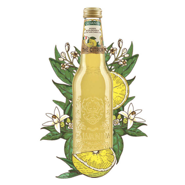 Thé glacé citron bio Galvanina - Au thé noir Darjeeling