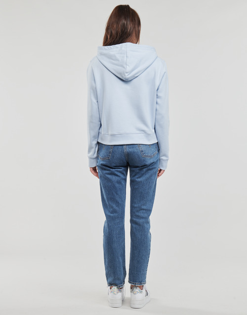Tommy Hilfiger - REG FROSTED CORP LOGO HOODIE - Bleu ciel