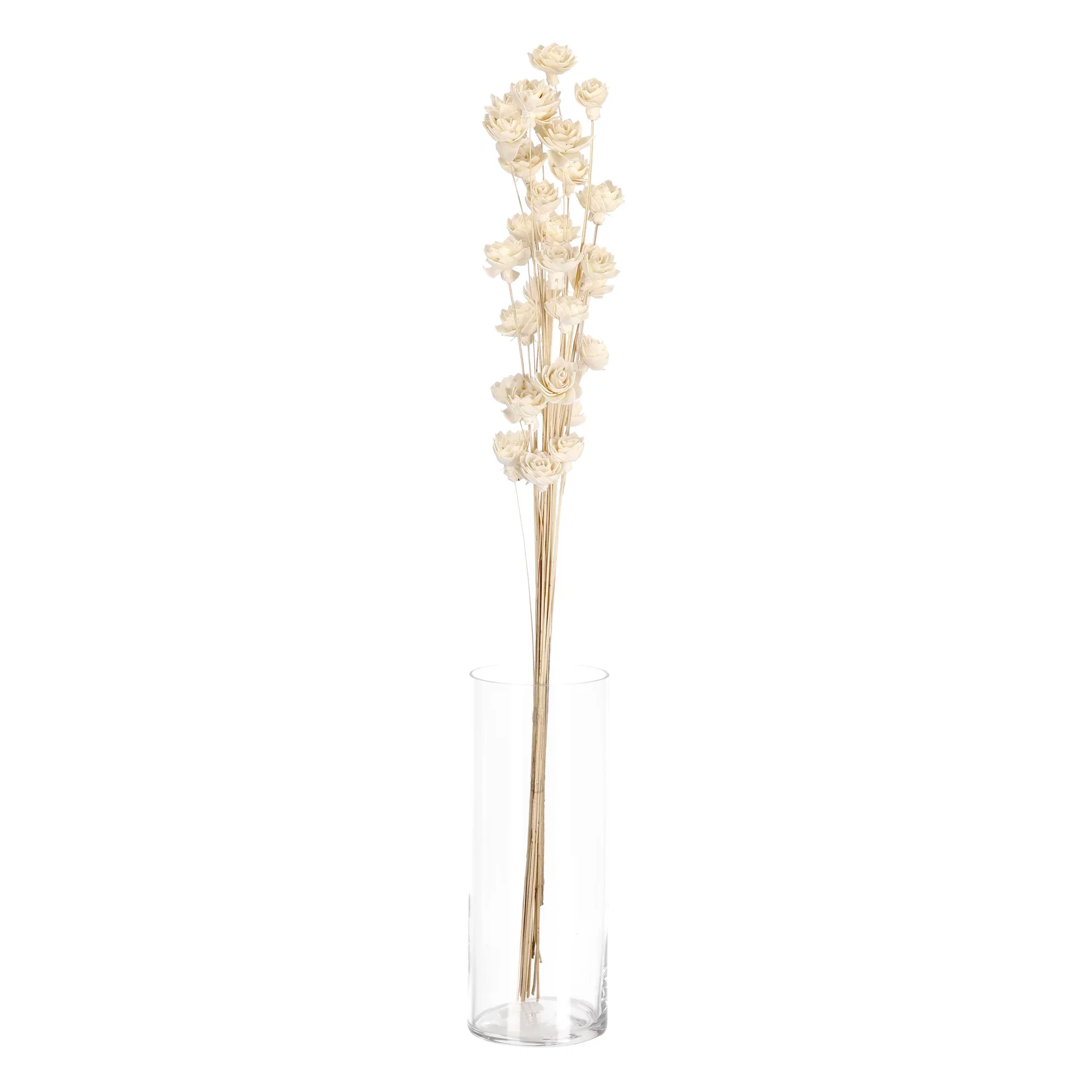 Papirblomst Vannlilje Høyde 85 cm