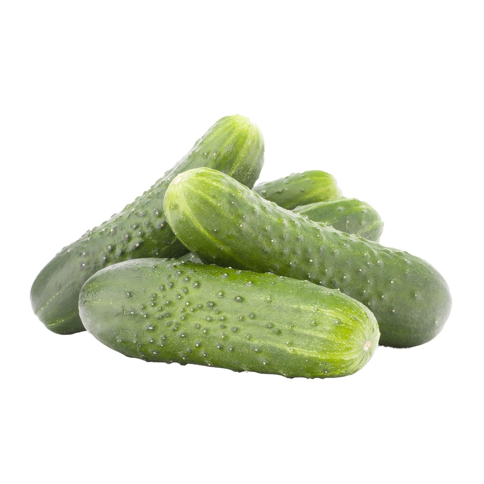 Feldgurken