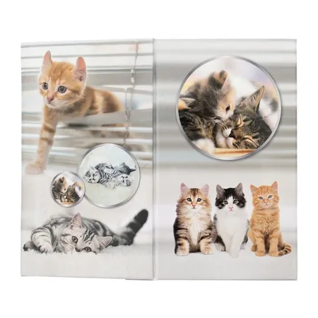 HERMA Stifteköcher Karton Katzen