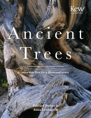 Ancient Trees: Trees that live for a thousand years (Hardback)
