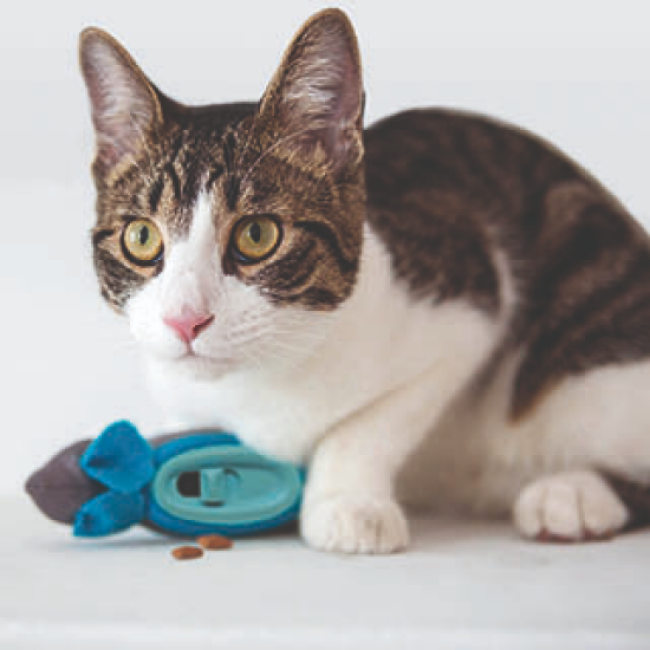 Jouet Souris Hunter distributeur de croquettes
