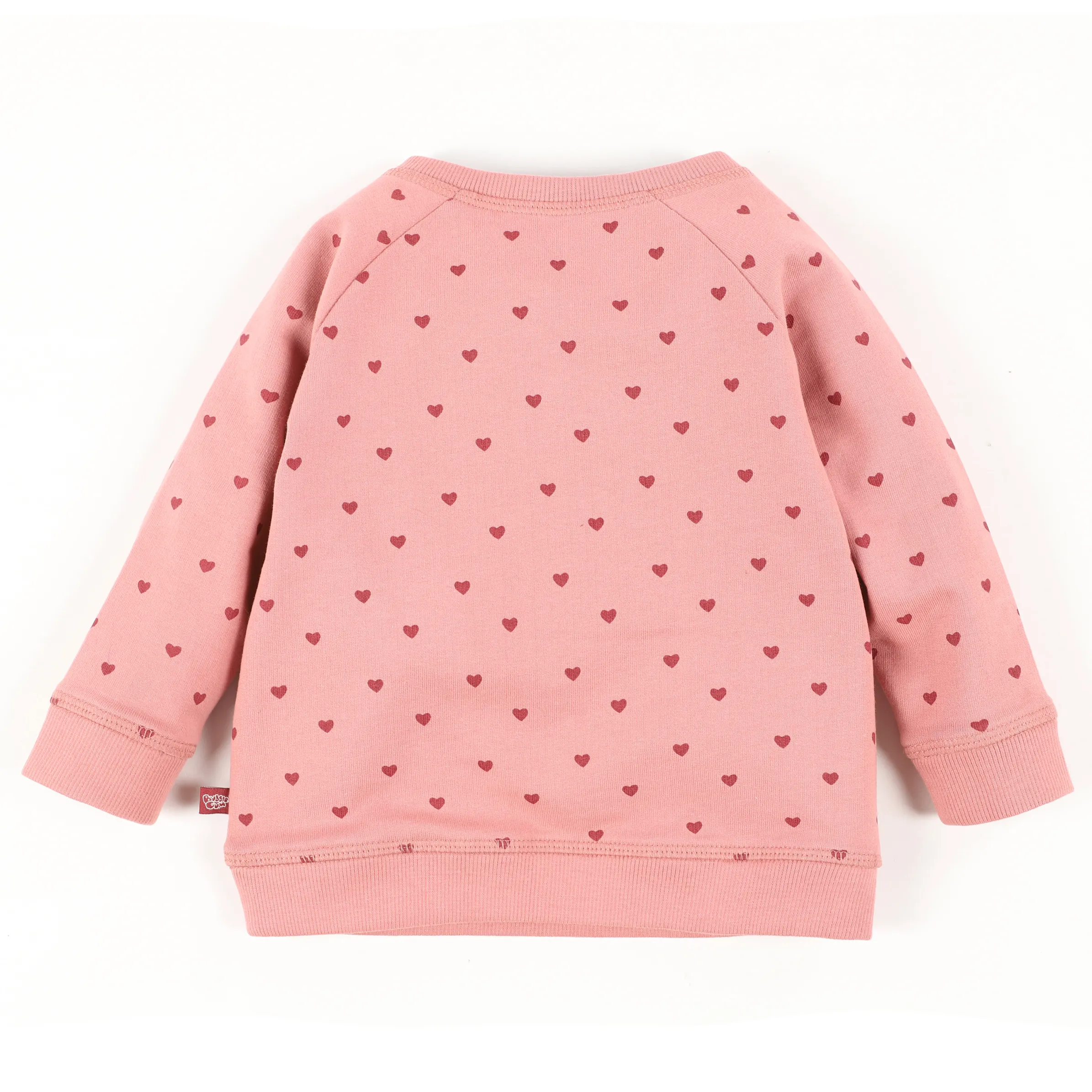 Baby Sweatshirt mit Alloverprint und Stickerei-Applikation