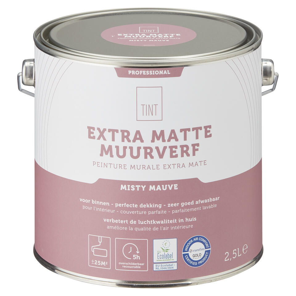 Muurverf Professional Misty Mauve 2.5 l