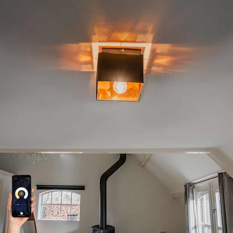 Smart plafondlamp zwart met goud incl. Wifi P45 - VT