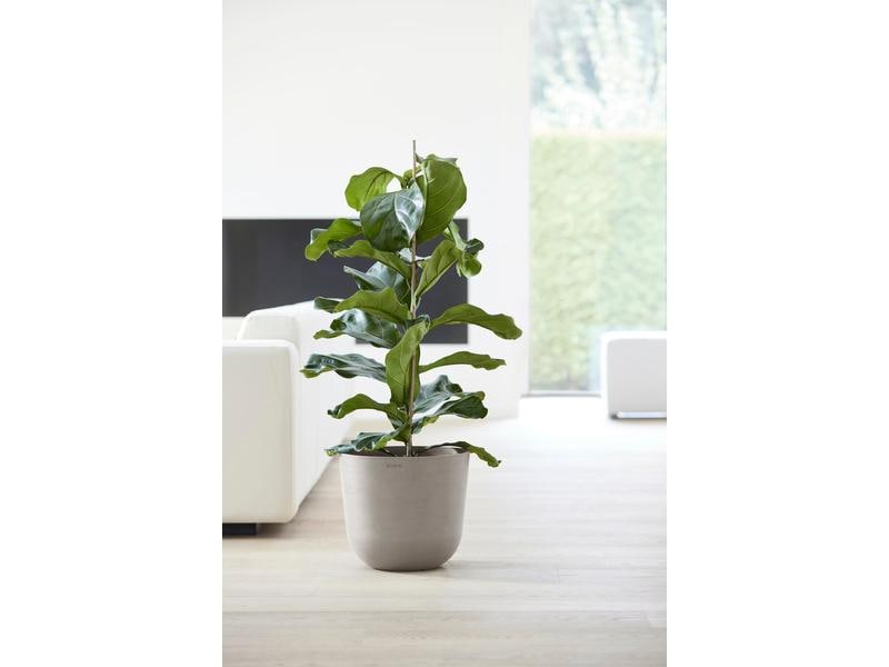 Ecopots Pflanzentopf Oslo 35, French Taupe Robuster und langlebiger Blumentopf