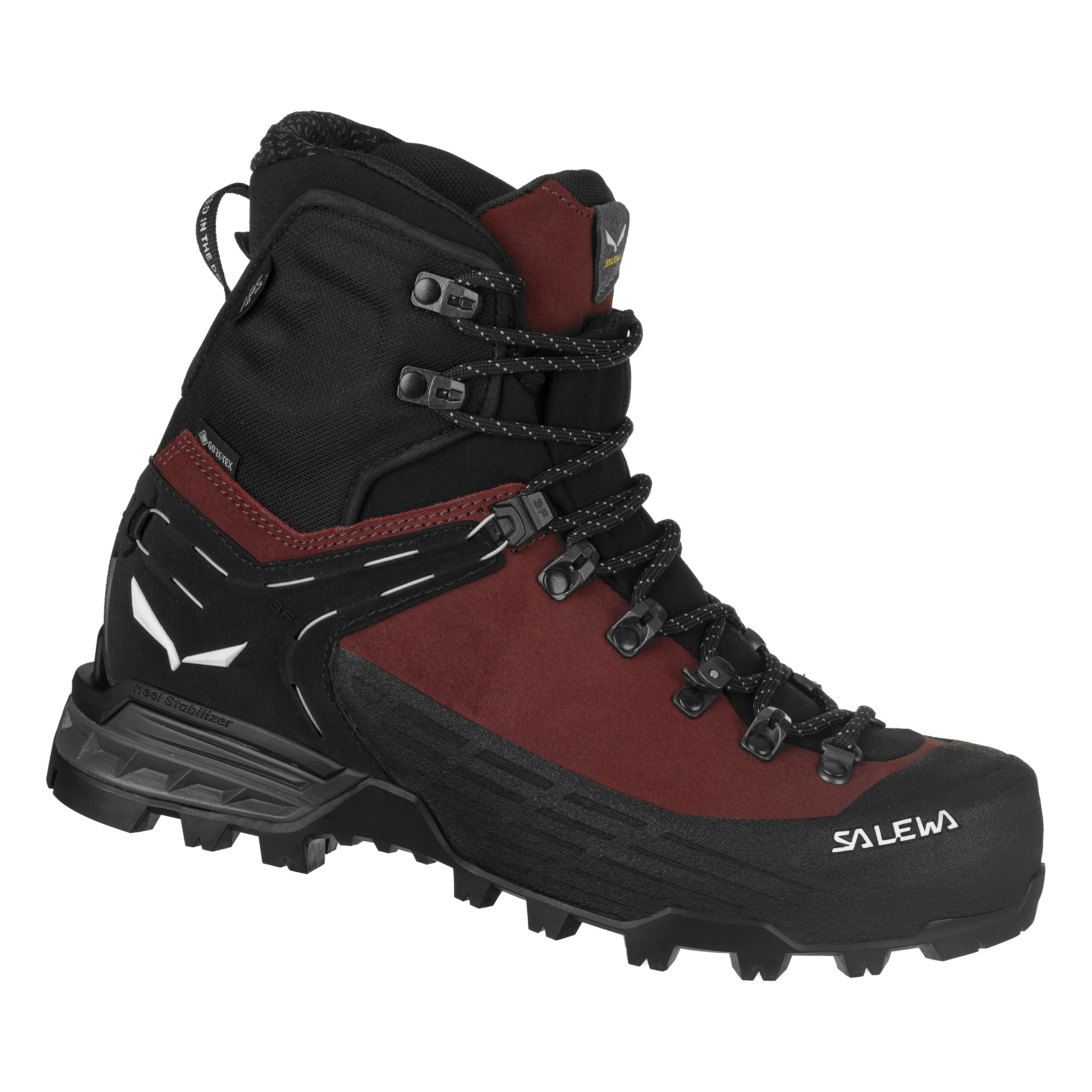 Ortles Ascent Mid Gore-Tex® Schuh Damen