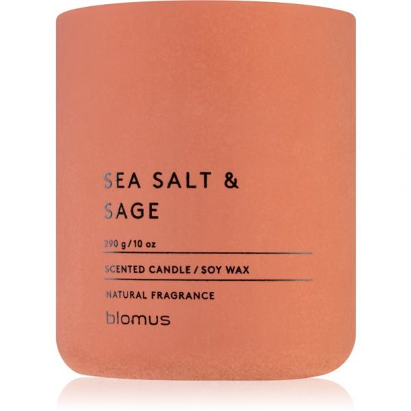 Blomus Fraga Sea Salt & Sag Vela Perfumada 290 g