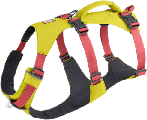 Ruffwear Flagline Harness Hundegeschirr mit Griff XXS lichen green