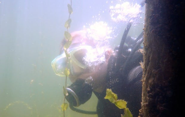Tauchschnupperkurs in Plau am See als Geschenkidee