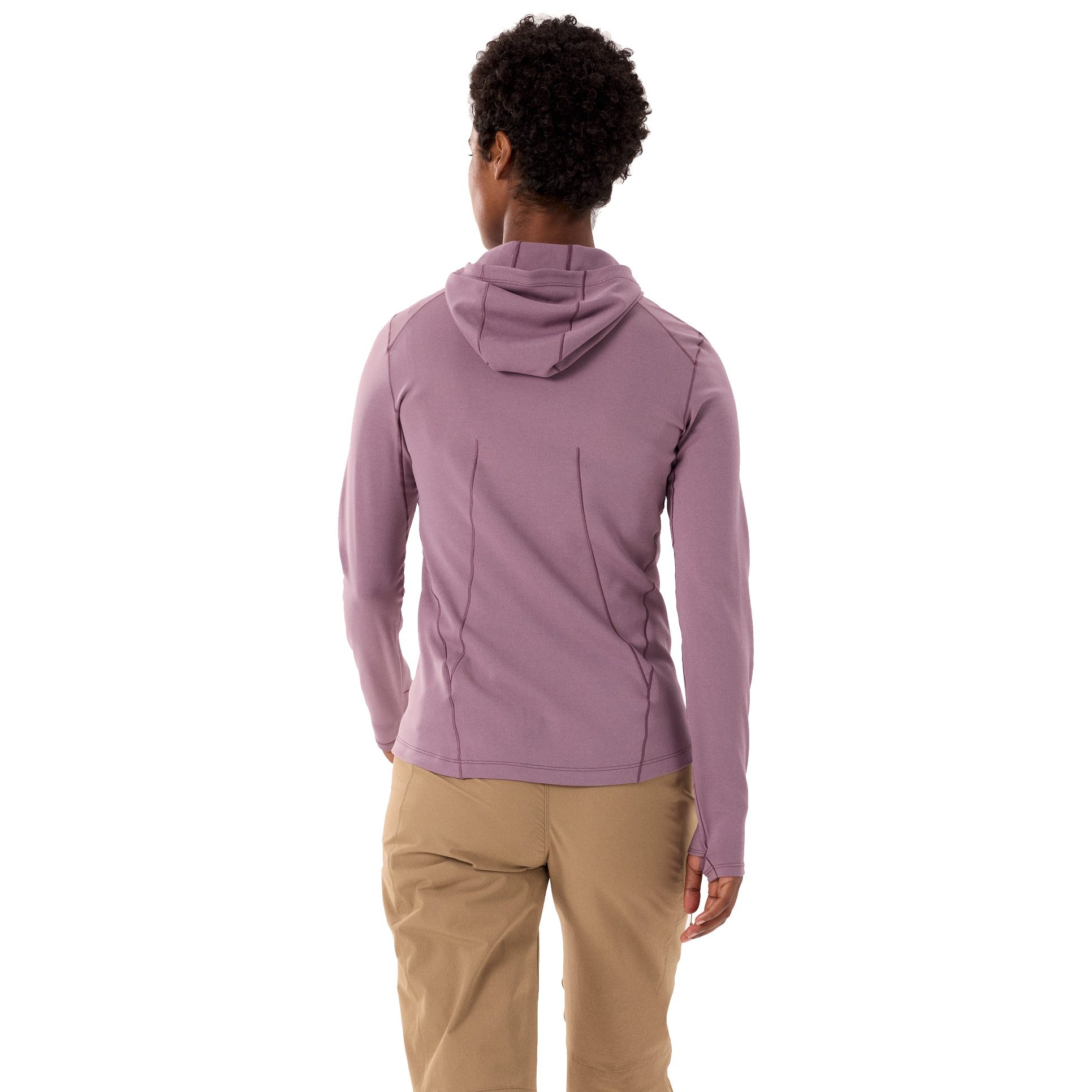 Arc'teryx Taema Thermal Hoody Damen interstellar heather