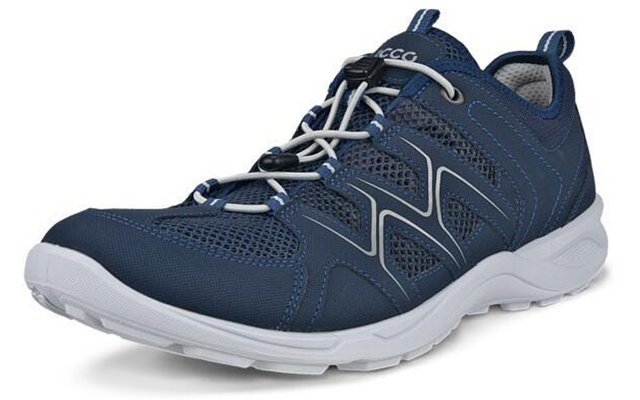 Ecco Terracruise LT Herren Outdoorschuh