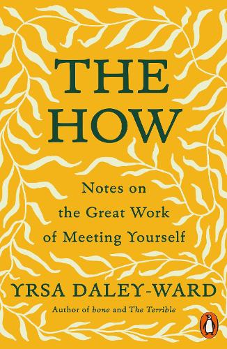 The How: Notes on the Great Work of Meeting Yourself (Paperback)