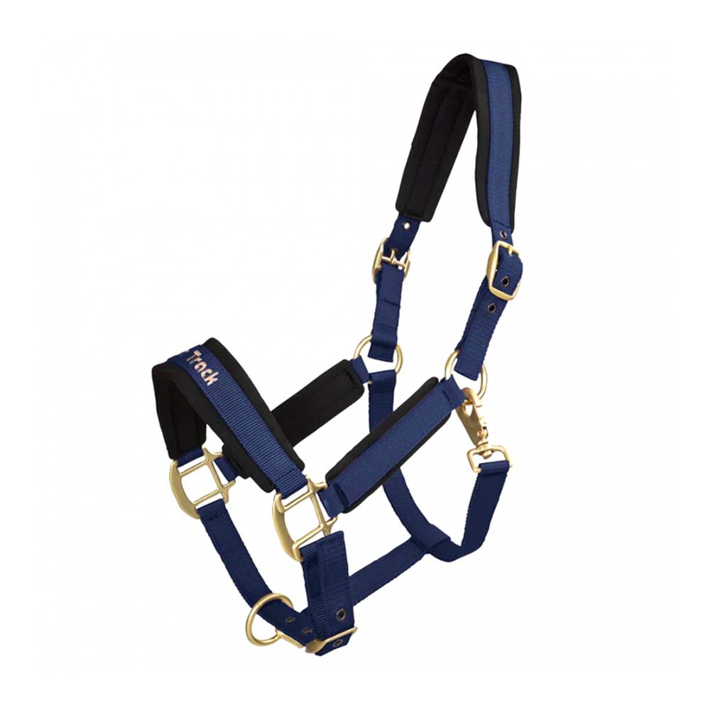 Back on Track WERANO - Licol bleu