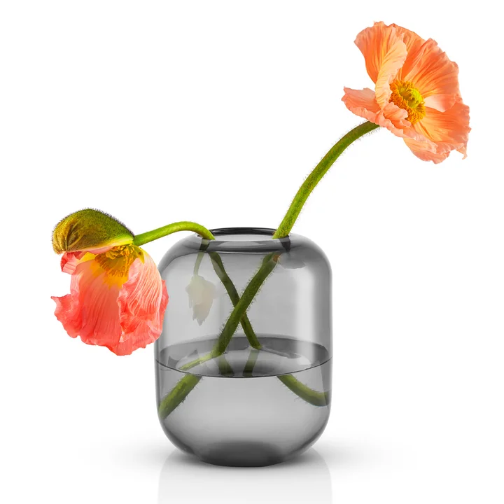 Eva Solo - Acorn Vase, Ø 14 x H 16,5 cm, klar