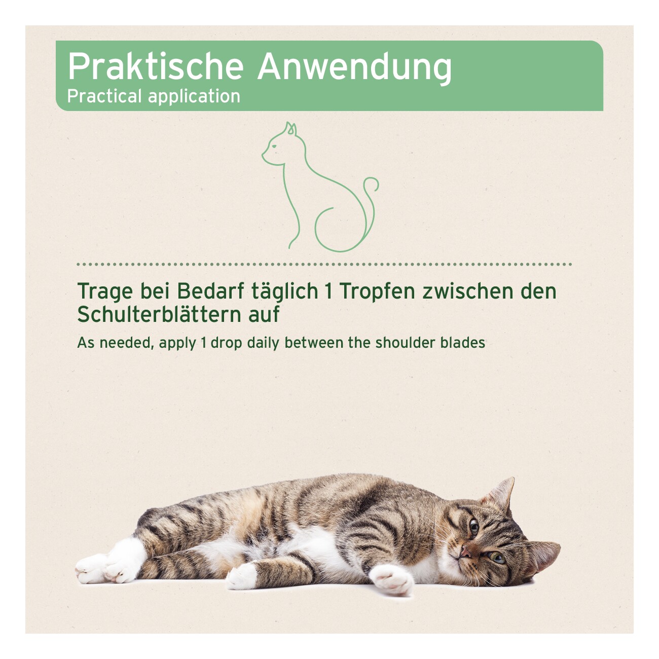 AniForte Spot-on für Katzen Ectoprotex
